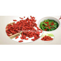 Baies Bio Goji (350grades / 50g)